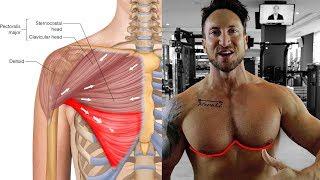 SuperHuman Lower Chest Workout (BALLOON METHOD)