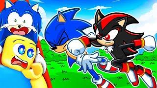 WHAT IF Sonic Fought Shadow?