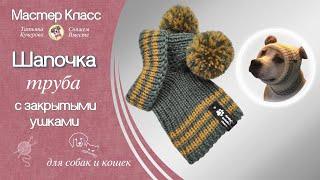 Шапочка с помпоном для собак, вязание спицами,  hat for dogs