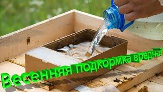 Профессор Кашковский: Сахарная подкормка приводит к неполноценным пчёлам весной?