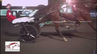 Illustriousarden N wins at the Meadowlands | 12/20/24