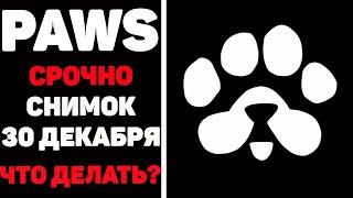 Paws airdrop в телеграм срочно сделай свап до 30 декабря #paws