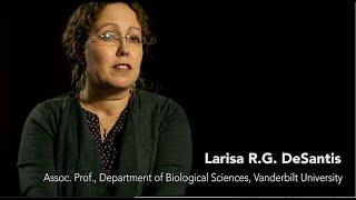 Larisa R. G. DeSantis  -  Rebels, Scholars, Explorers.  Women in Vertebrate Paleontology