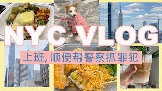 NYC Vlog 上千粉丝答谢特辑来啦! 加字幕啦!上班, 顺便帮警察抓下罪犯. 纽约没有你想不到只有你见不到的 #vlog#nyc #nycvlog