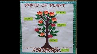Parts of Plant Model for Students | Easy Model for kids | Science Model