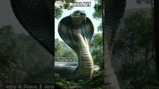 10+ million views Manish AI TV #music #aivideo #facts #snakestory