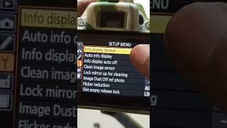 Nikon D5600 Display Theme Change #shorts #nikon #camera #settings