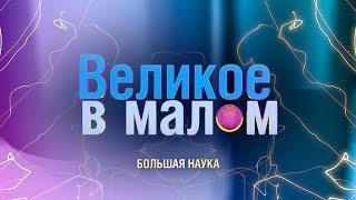 Великое в малом. Язык и сознание.