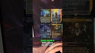 Sheldon's Spellbook: Each card is stunning! #mtg