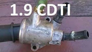 How to replace thermostat 1.9 cdti jtd Astra, Vectra, Zafira, Alfa, Fiat, z19dt z19dth vauxhall