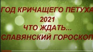 2021 год Кричащего Петуха. Что ждать? Славянский гороскоп на 2021 год. Гороскоп для всех  знаков.