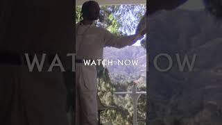 Terence Etc. - "Stay" #shorts