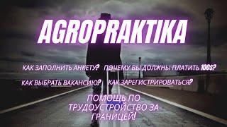 Agropraktika.by Работа в Англии и Литве для граждан СНГ, Украины, Грузии, Казахстана