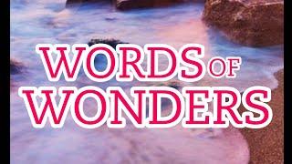 WORDS OF WONDERS Level 2007-2020