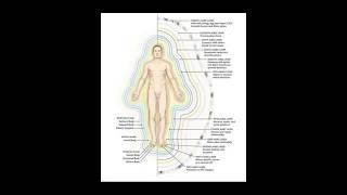 Learn about your auric layers #reiki #aura #energysystem #lightwork #healing #wellbeeing