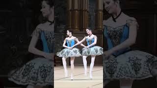 Маргарита Шрайнер, Данила Клименко, Мария Мишина, Пахита