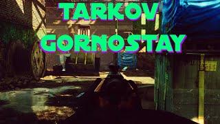 Tarkov Gornostay sperms get spermed on