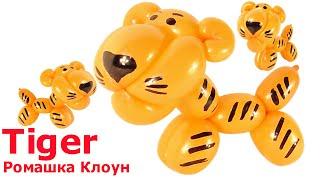 ТИГРЁНОК тигр ИЗ длинного ШАРИКА ШДМ  Tiger Balloon Animal TUTORIAL