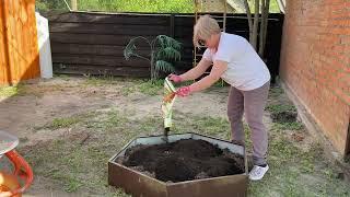 Помощники Светланы Журавлевой! Я дизайнер, как вижу, так и делаю! Красота какая, двор уже не узнать!