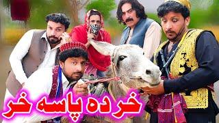 Khar Da Pasa Khar | Funny Video | Sada Gul Vines