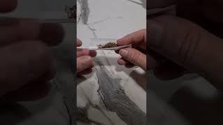 how to roll a cigarette