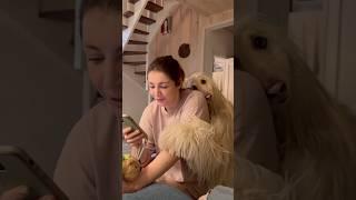 There is nothing truer in this world than the love of a good dog ️