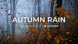 Autumn Rain | 8 Hours of soft rain for Relaxation & Meditation