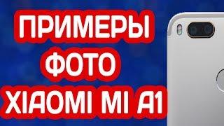 ТЕСТ КАМЕРЫ XIAOMI MI A1 ПРИМЕРЫ ФОТО