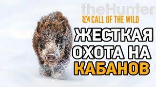 the hunter call of the wild medved taiga # Жесткая охота на кабанов