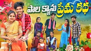 పాల క్యాను ప్రేమకథ  | PALA CANU PREMA KATHA | ENOTIONAL STORY | FULL MOVIE 2024 | RSN THINKS