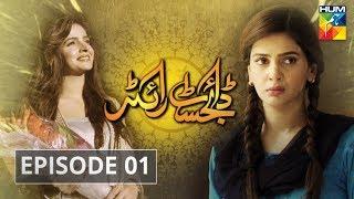 Digest Writer Episode #01 HUM TV Drama