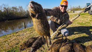 These Rodents Aren't SUPPOSED To Be HERE | Nutria CATCH and COOK