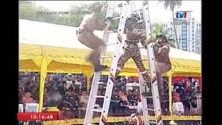 Storm Firefighters Performance 2018