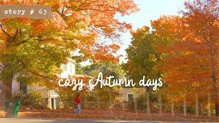 Cozy October Days | Autumn in New England | Slow Living Vlog | Apple Orchard and Vineyard Picnic