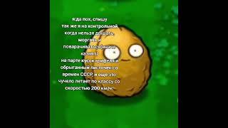 Все актуальные новости по PvZ в тгк - ProstoOrexx #мем #pvz #pvz1 #plantsvszombie #shorts