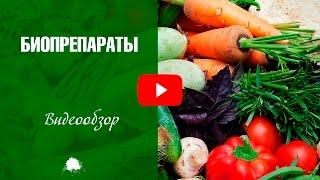 Биопрепараты для защиты садовых растений от вредителей  Дача сад и огород с Хитсад