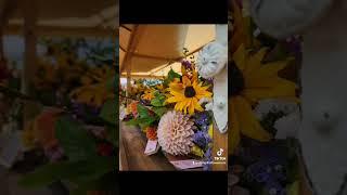 Start with planting a tuber to get beautiful flowers  #flower #dahlias
