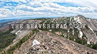 The 2022 Beaverhead 100k Ultramarathon  | Beauty on the divide