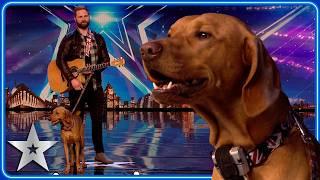 SINGING DOG performs cover of Summer of '69 | Unforgettable Audition | Britain's Got Talent