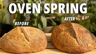 3 FAILSAFE TIPS to MAXIMISE Your Sourdough Bread OVEN SPRING