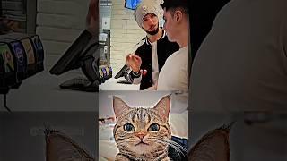 Bombastic Lifehack #cat #meme #funny