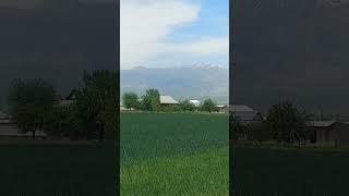 Сурхандарё Саросиё.