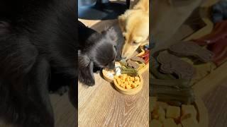 *ASMR* PUPPY SNACK BOARD! #asmr #kitchen #snackboard #puppy #dog #dogs #charcuterie #dogmom