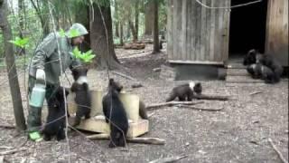 Пажетнов Вася и медвежата Pazhetnov Vasya & bear cubs