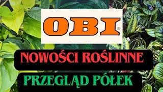 ROŚLINY W OBI  PRZEGLĄD NOWOŚCI 