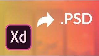 Adobe Xd - How to Export/Save As .PSD format | Tutorial