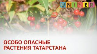 ОСОБО ОПАСНЫЕ РАСТЕНИЯ ТАТАРСТАНА