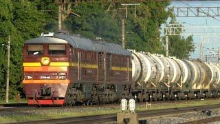 Тепловоз 2ТЭ116-662 на ст. Лагеди / LDz Cargo 2TE116-662 at Lagedi station