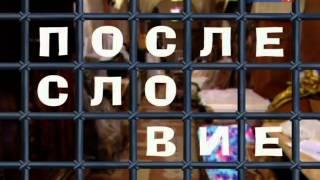 «Городок» выпуски 253 и 254