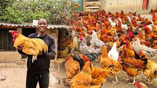 This Farmer gave me Chickens to Start my Own Farm. This is What Happened